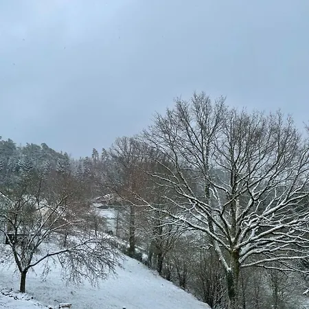 Des Brimbelles La Neuveville-Devant-Lepanges