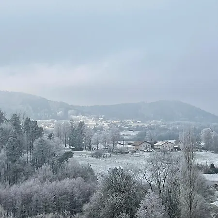 Semesterbostad Des Brimbelles La Neuveville-Devant-Lepanges