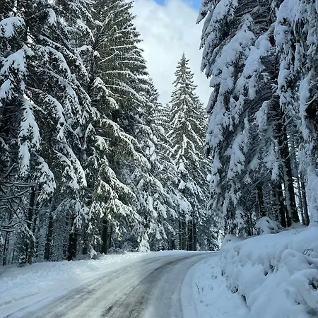 Des Brimbelles La Neuveville-Devant-Lepanges