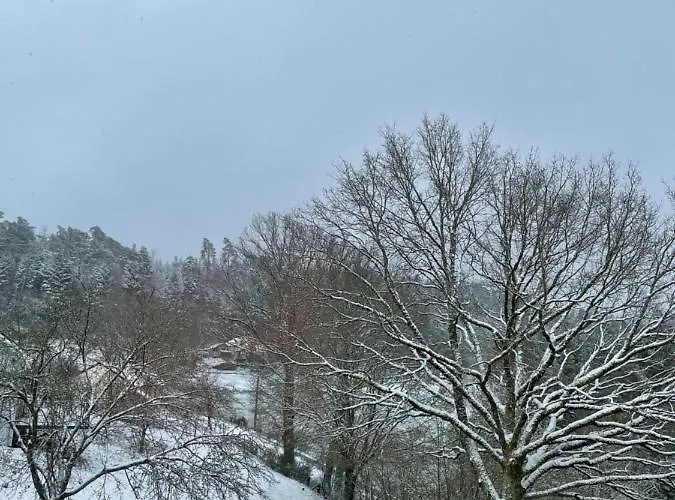 Des Brimbelles La Neuveville-Devant-Lepanges