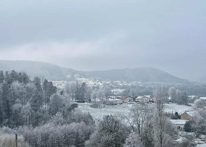 度假居 Des Brimbelles La Neuveville-Devant-Lepanges