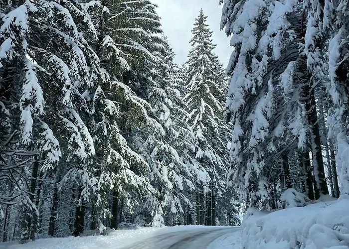 Des Brimbelles La Neuveville-Devant-Lepanges